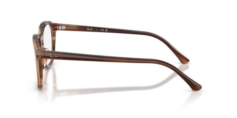 RB5460 OPTICS 5