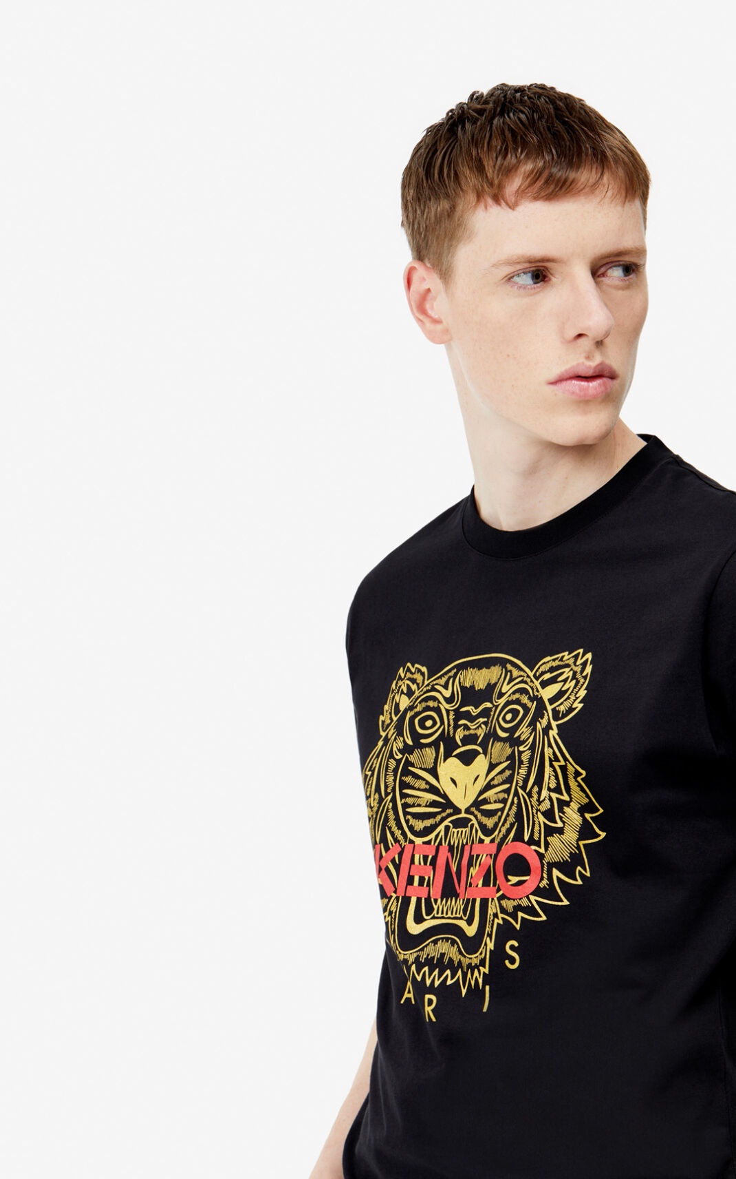 Tiger t-shirt - 6