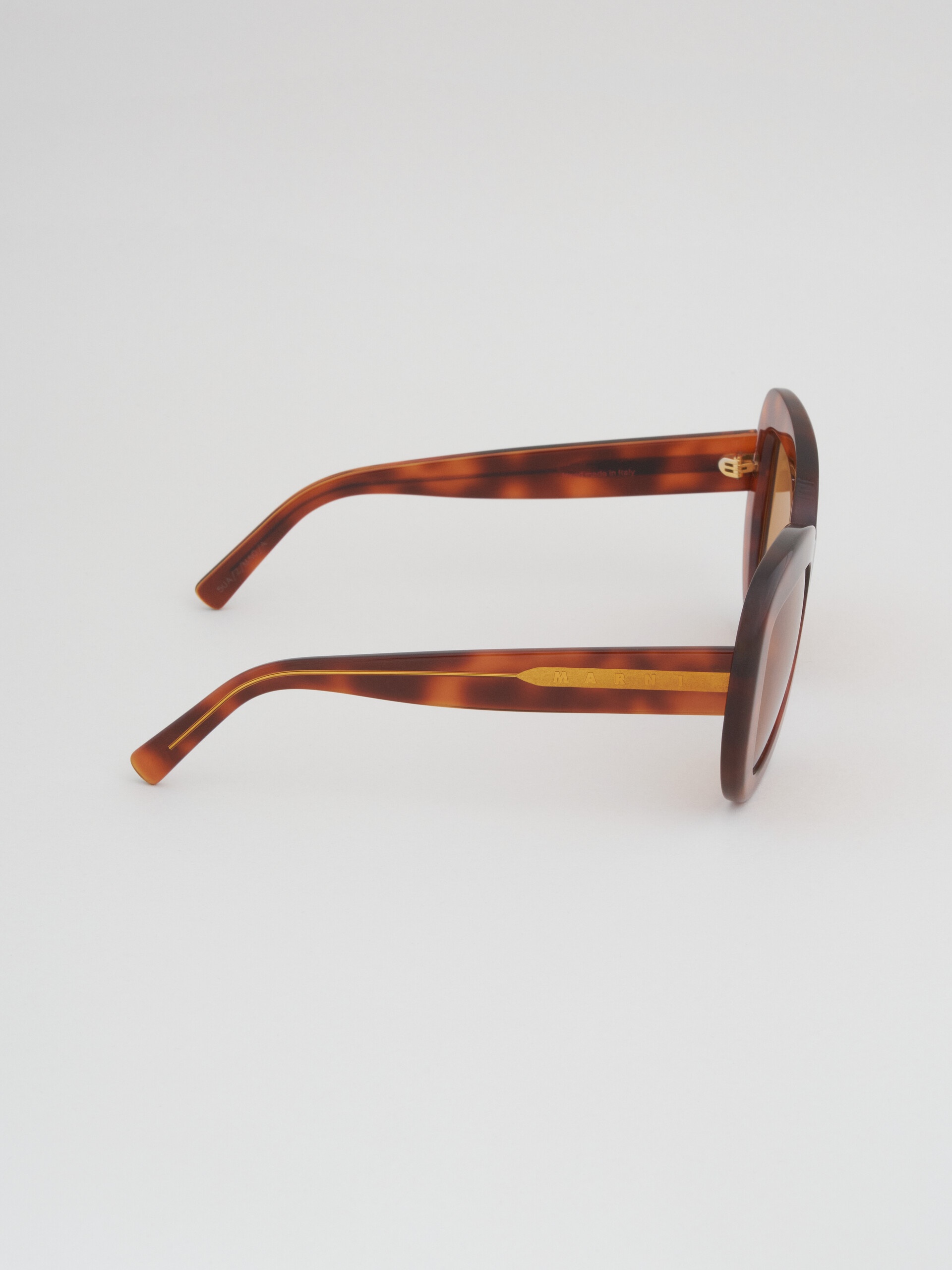 TORTOISESHELL ACETATE ELEPHANT ISLAND SUNGLASSES - 3
