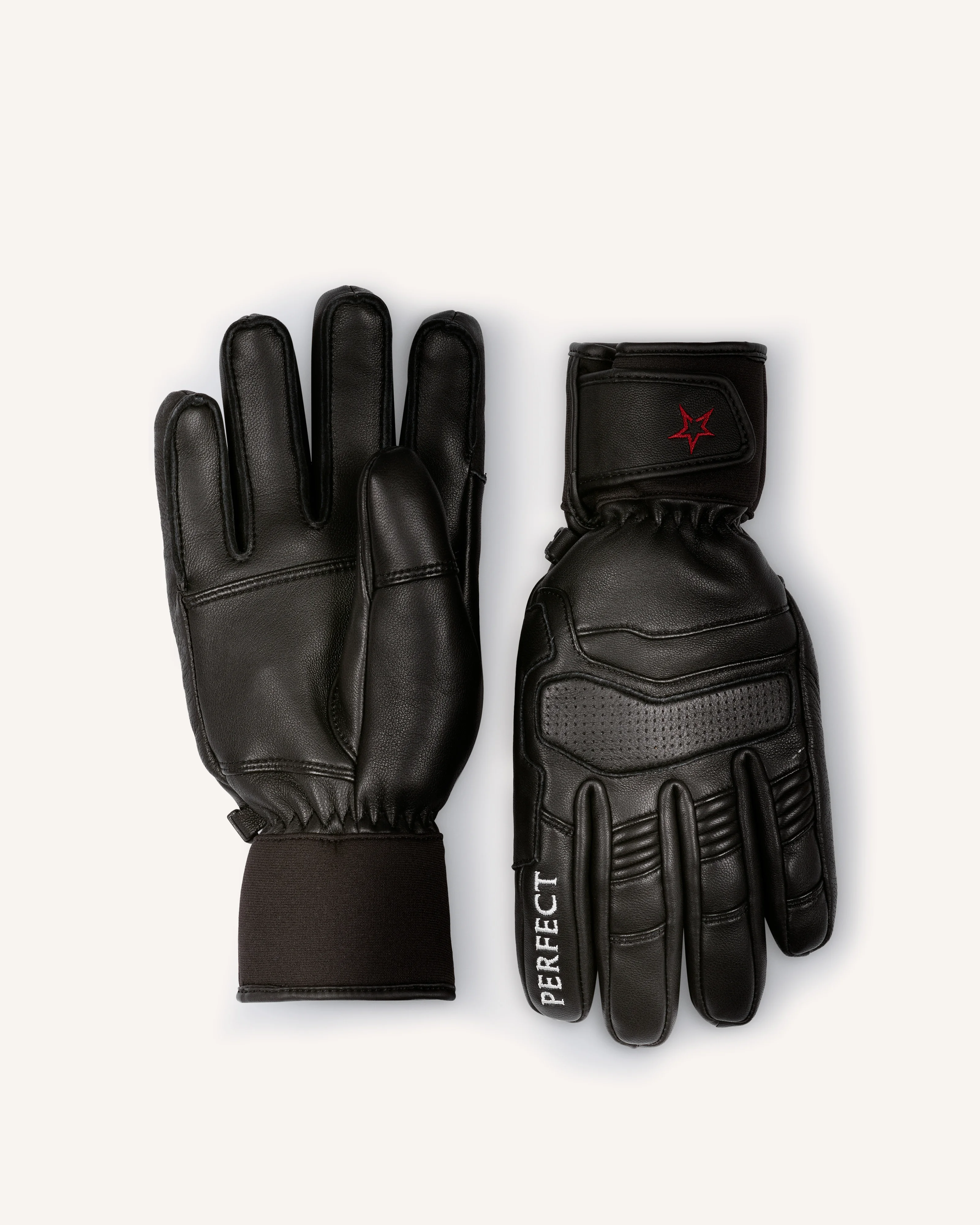 PM Ski Gloves - 1