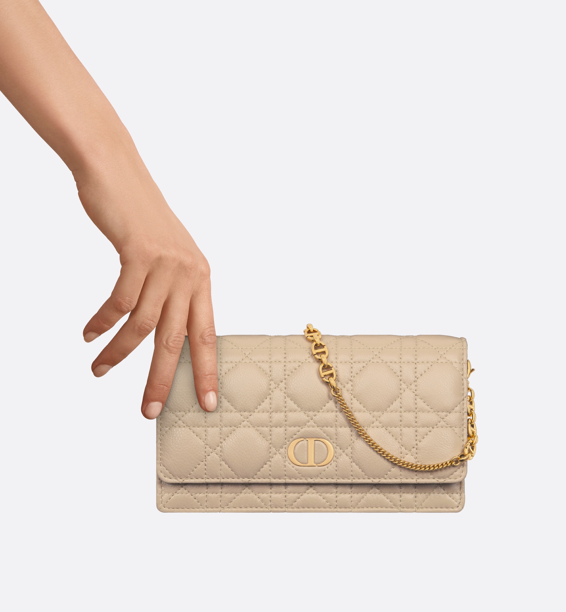 Dior Caro Pouch - 7