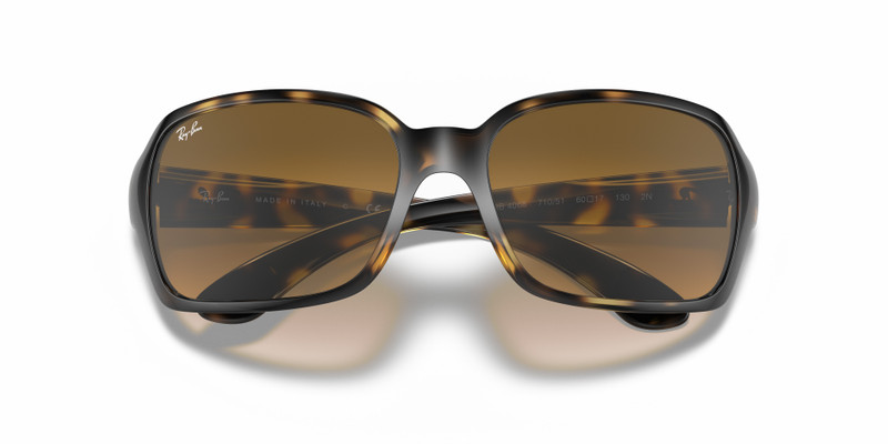 Ray-Ban RB4068 outlook