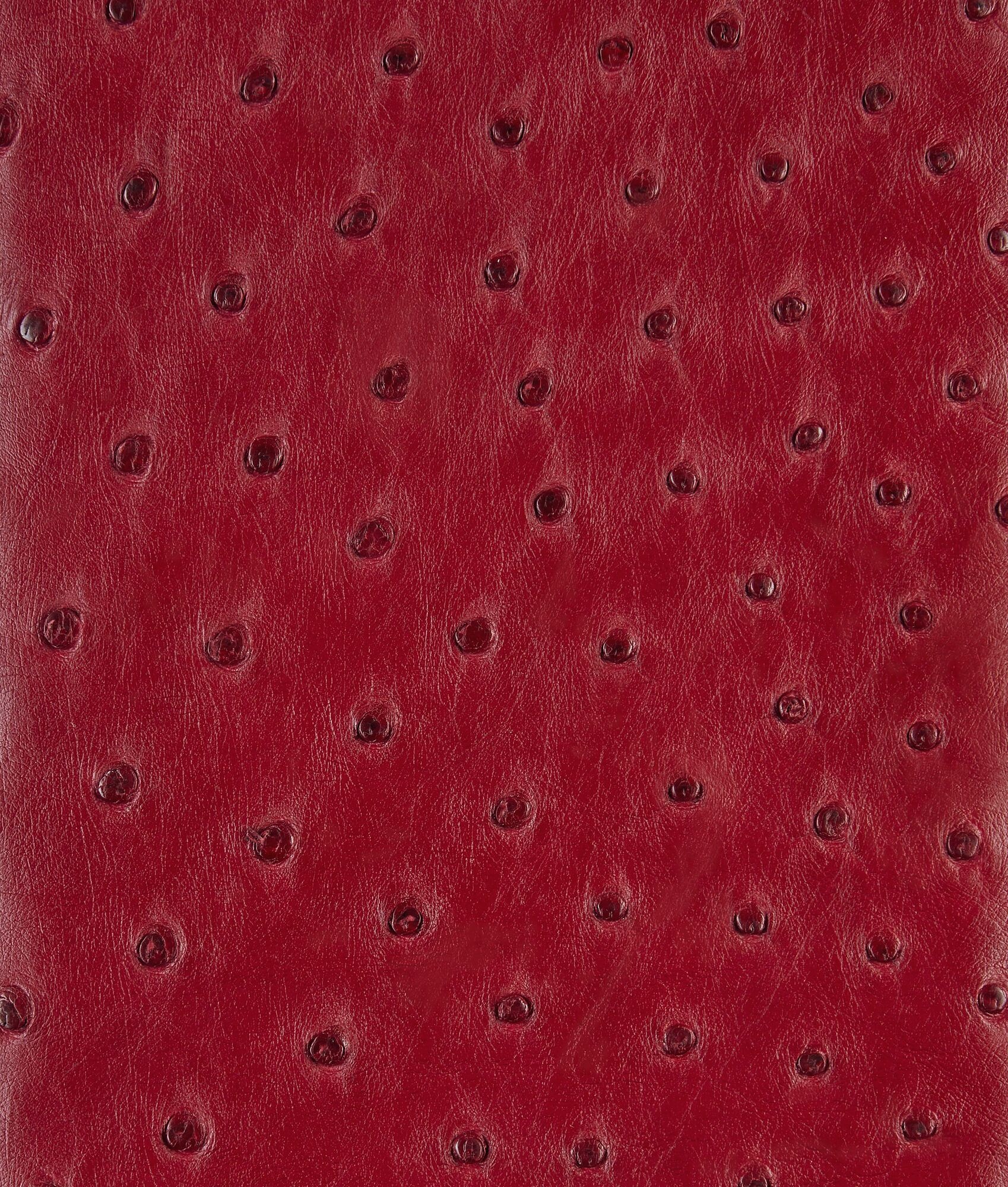 Andiamo Clutch - 6