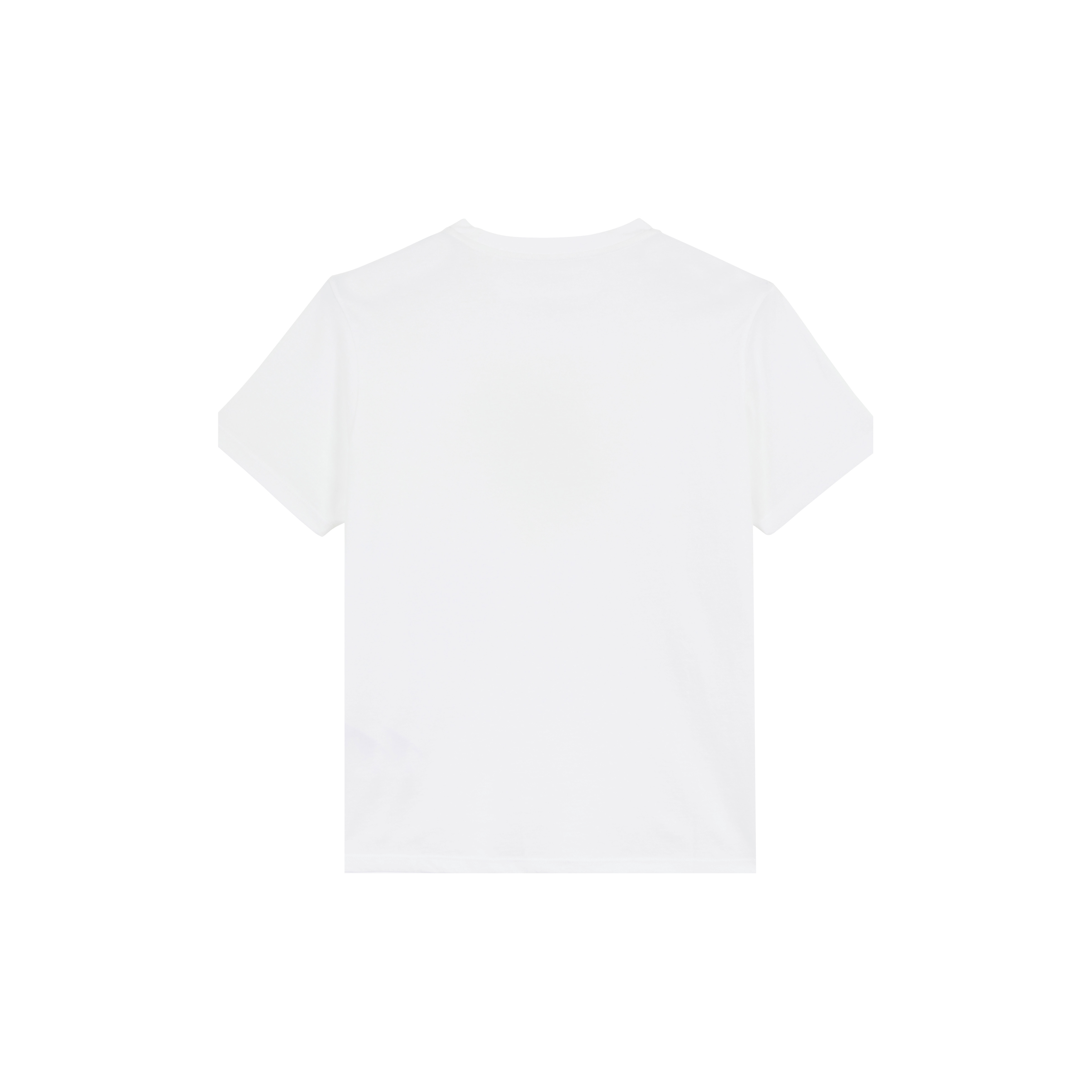 Men Cotton T-shirt Embroidered tone on tone Turtle - 2