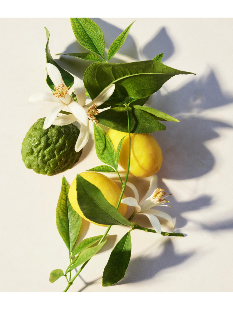 Eau Parfumée Thé Vert Body Shower Gel 3