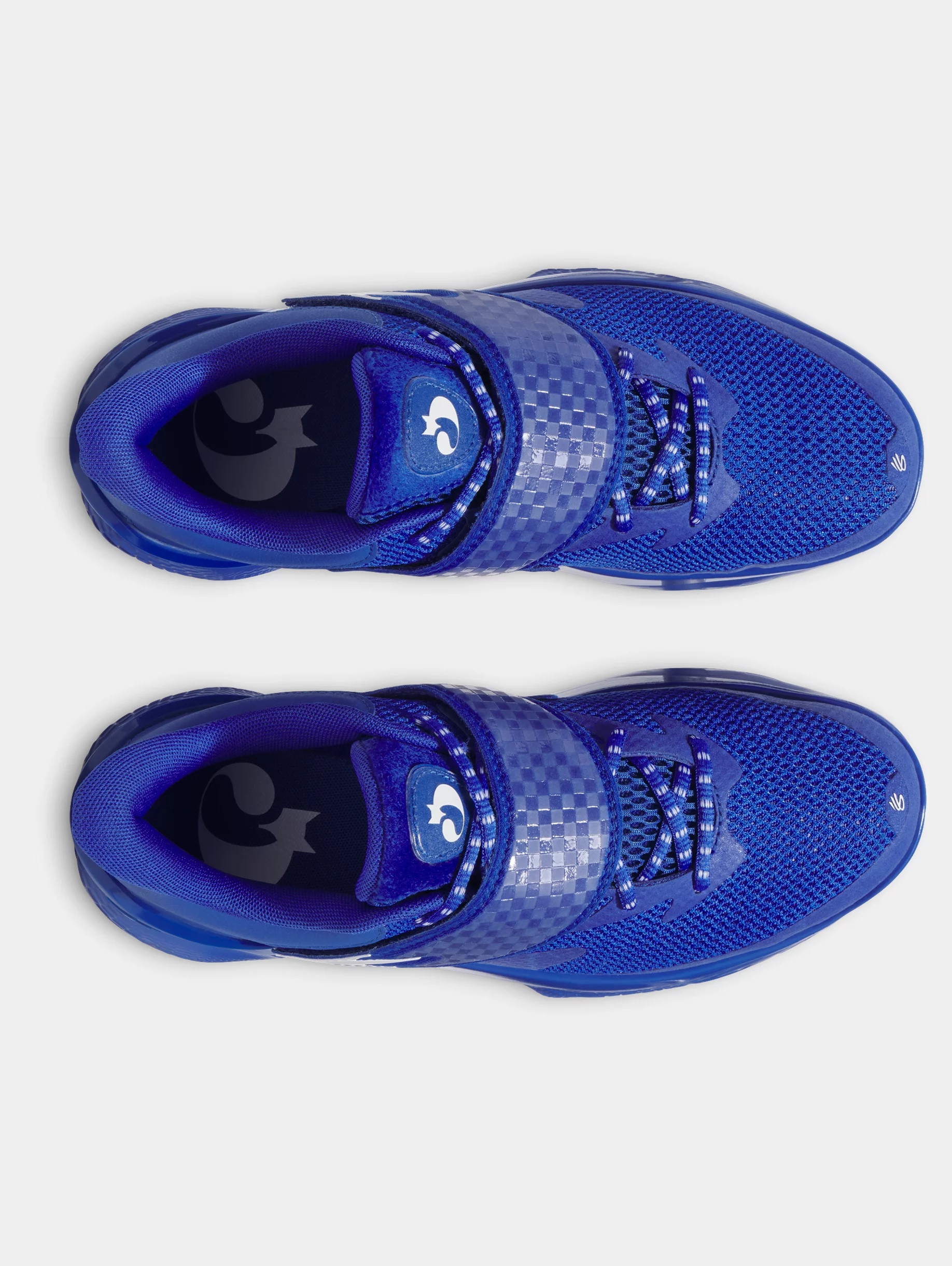 Curry Fox 1 'Lexington' - 3
