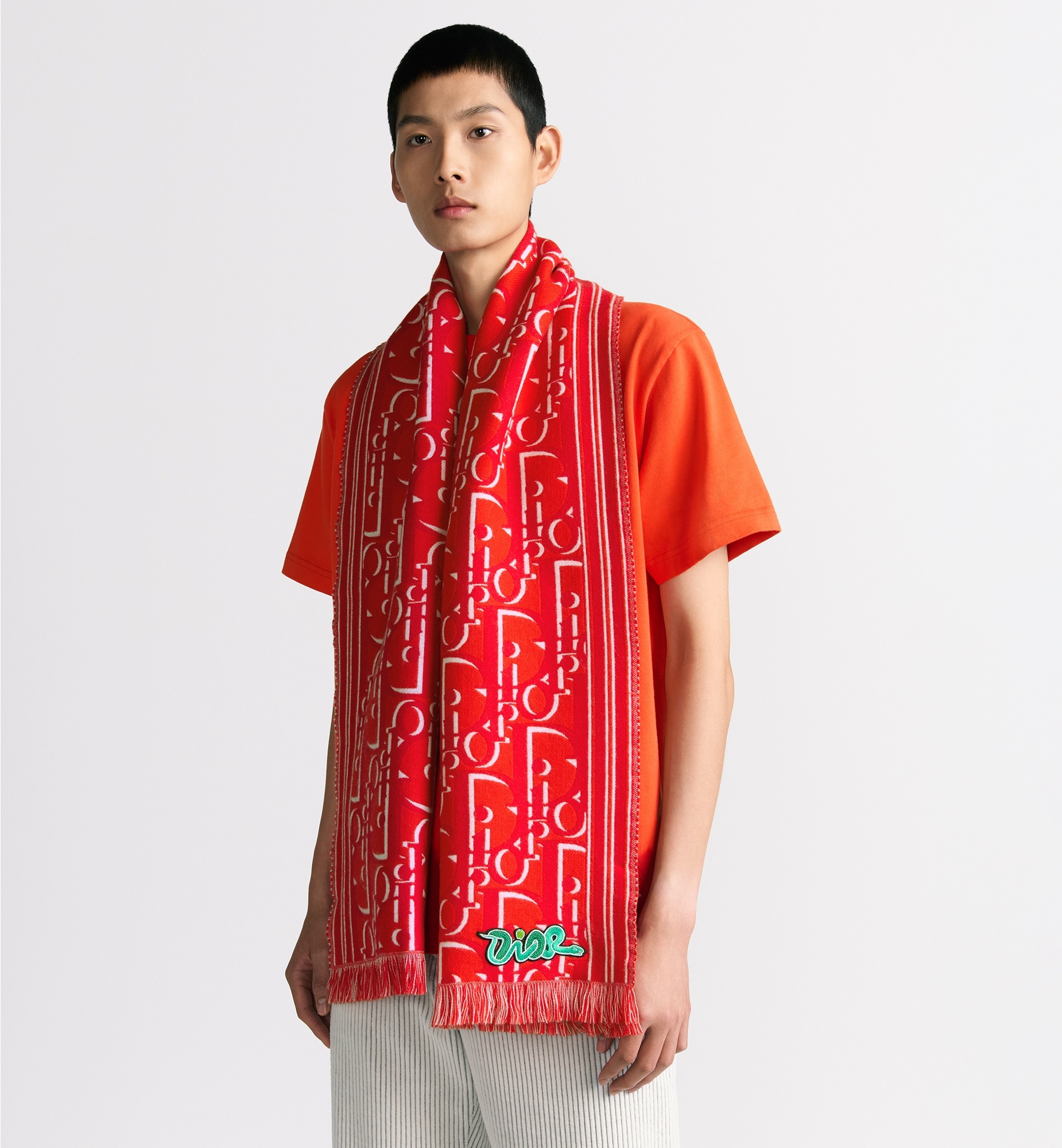 DIOR AND KAWS Scarf - 2