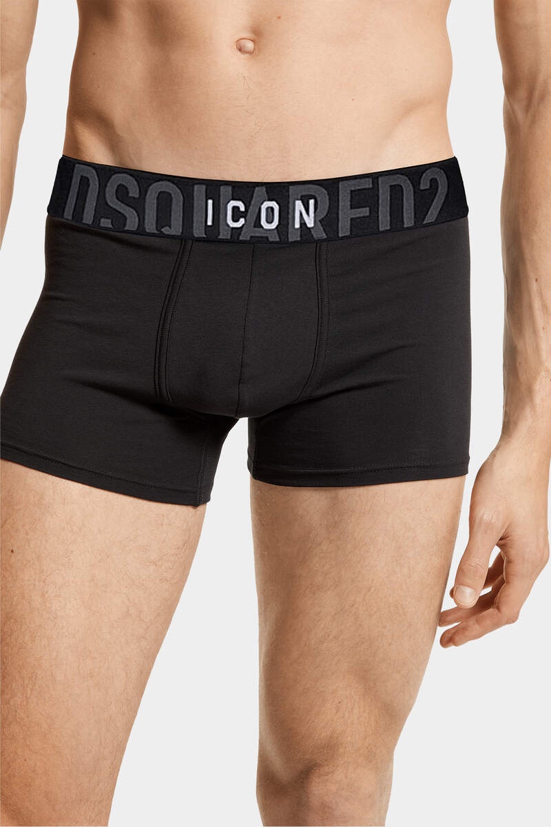 ICON TRUNK - 5