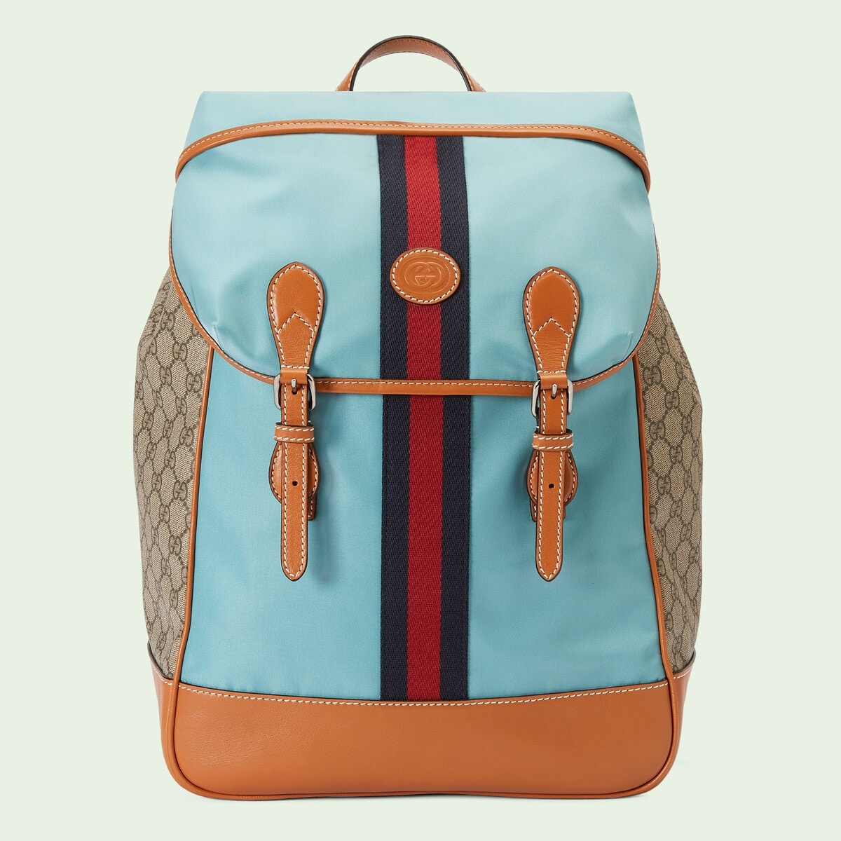 Backpack with Web stripe - 1