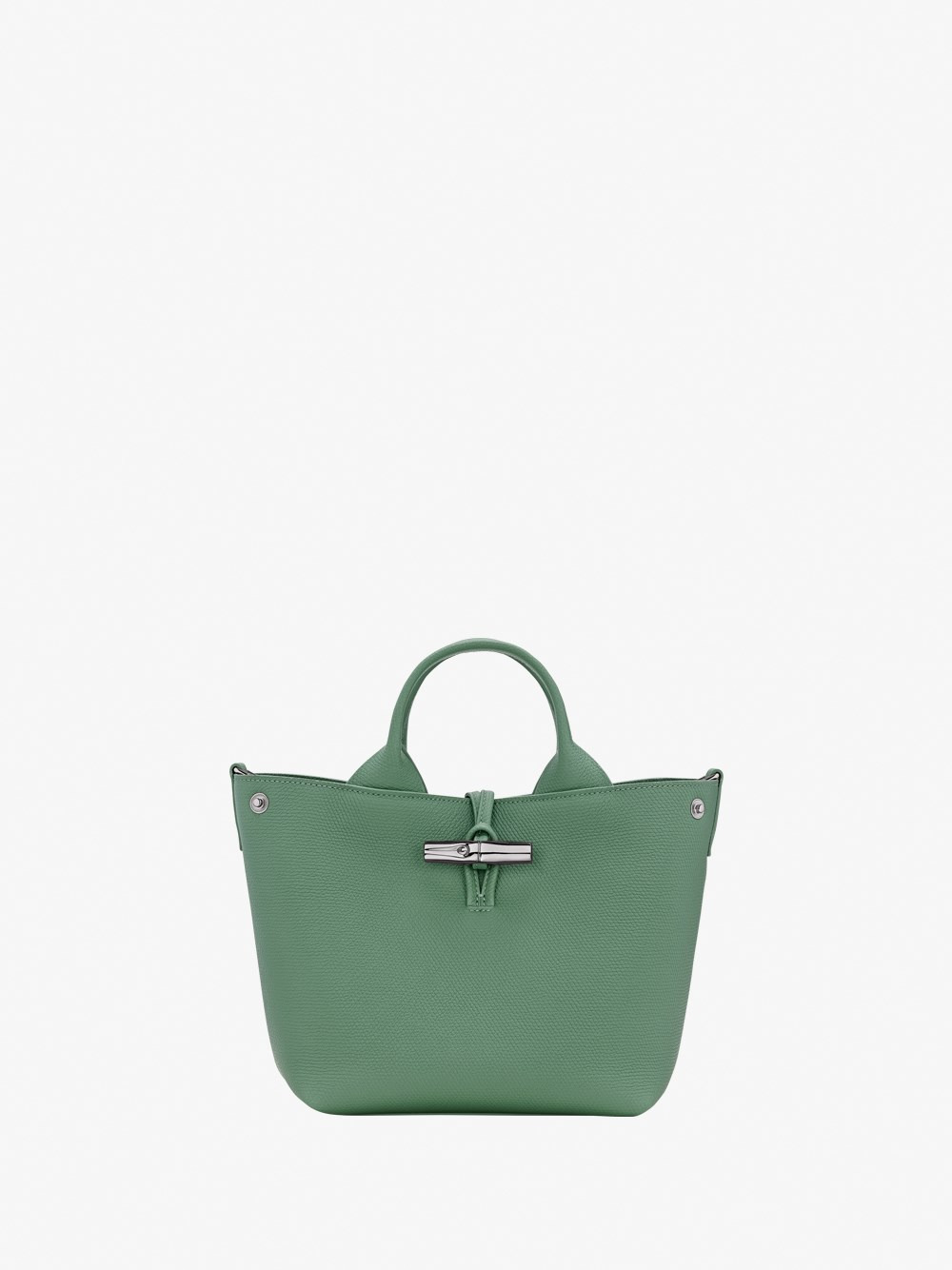 `Le Roseau` Small Handbag - 4