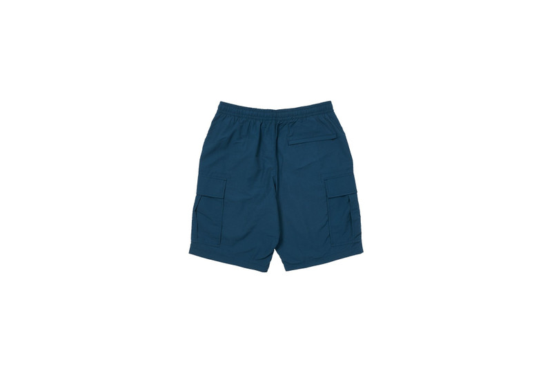 PALACE SHELL CARGO SHORTS PETROL outlook