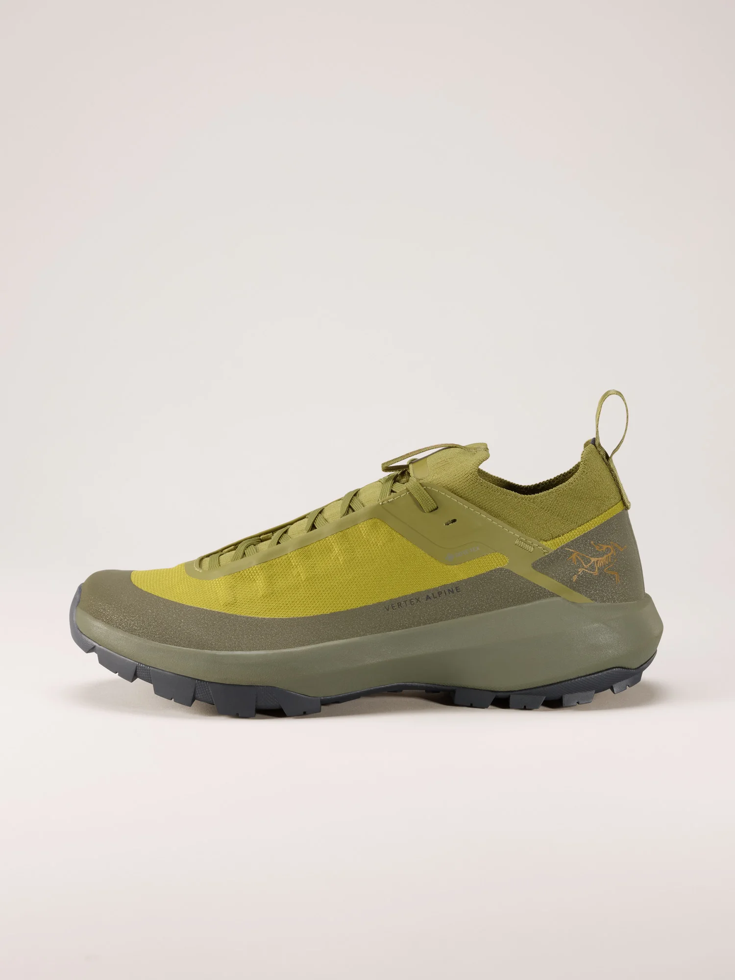 Vertex Alpine GTX Shoe - 1