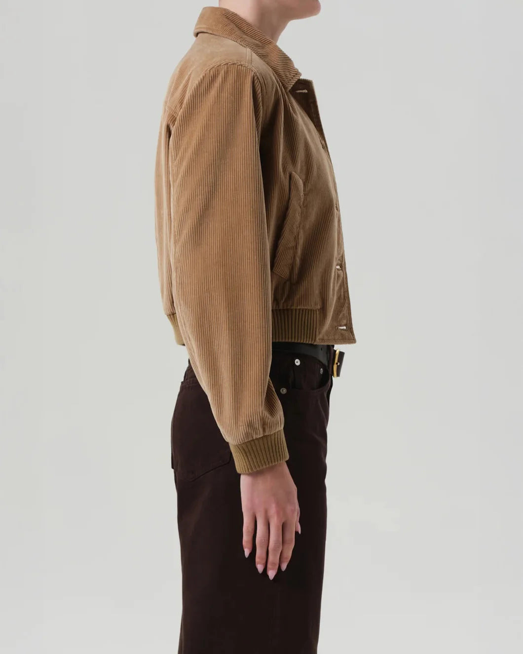 LOLA EVE BOMBER IN AMBER - 3