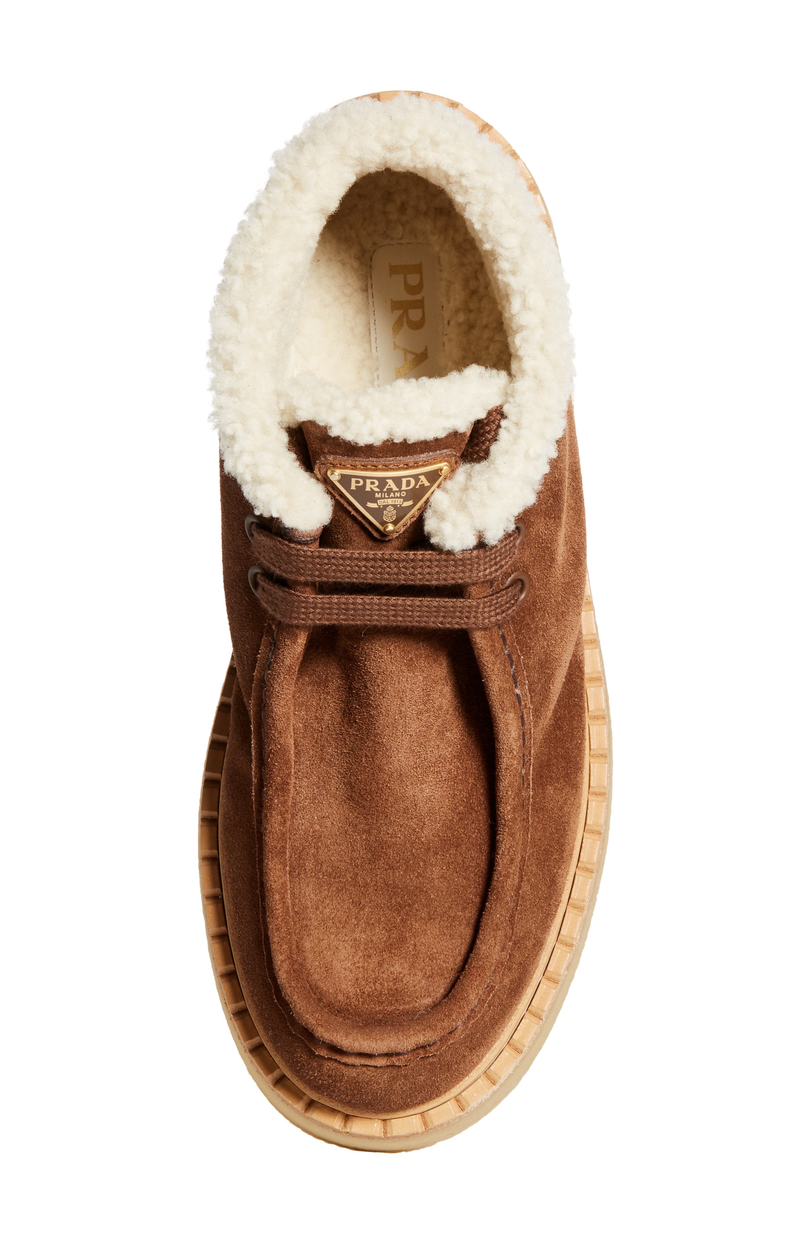 Prada Genuine Shearling Derby Bootie in Cacao at Nordstrom - 5