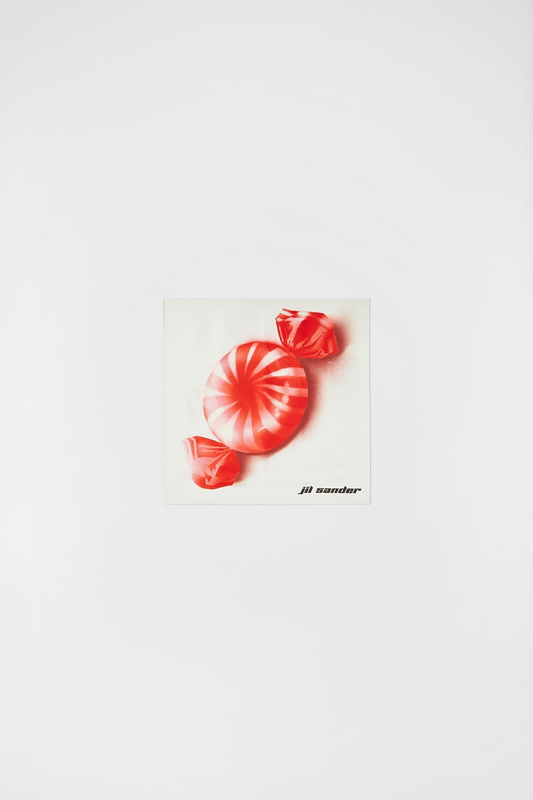 Printed Foulard - 1