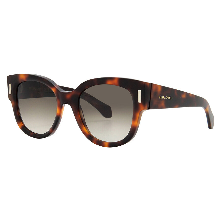 Ferragamo Brown Gradient Oval Ladies Sunglasses SF2007S 240 51 - 2