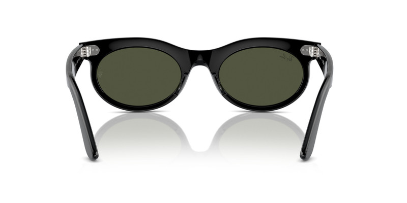 WAYFARER OVAL 6