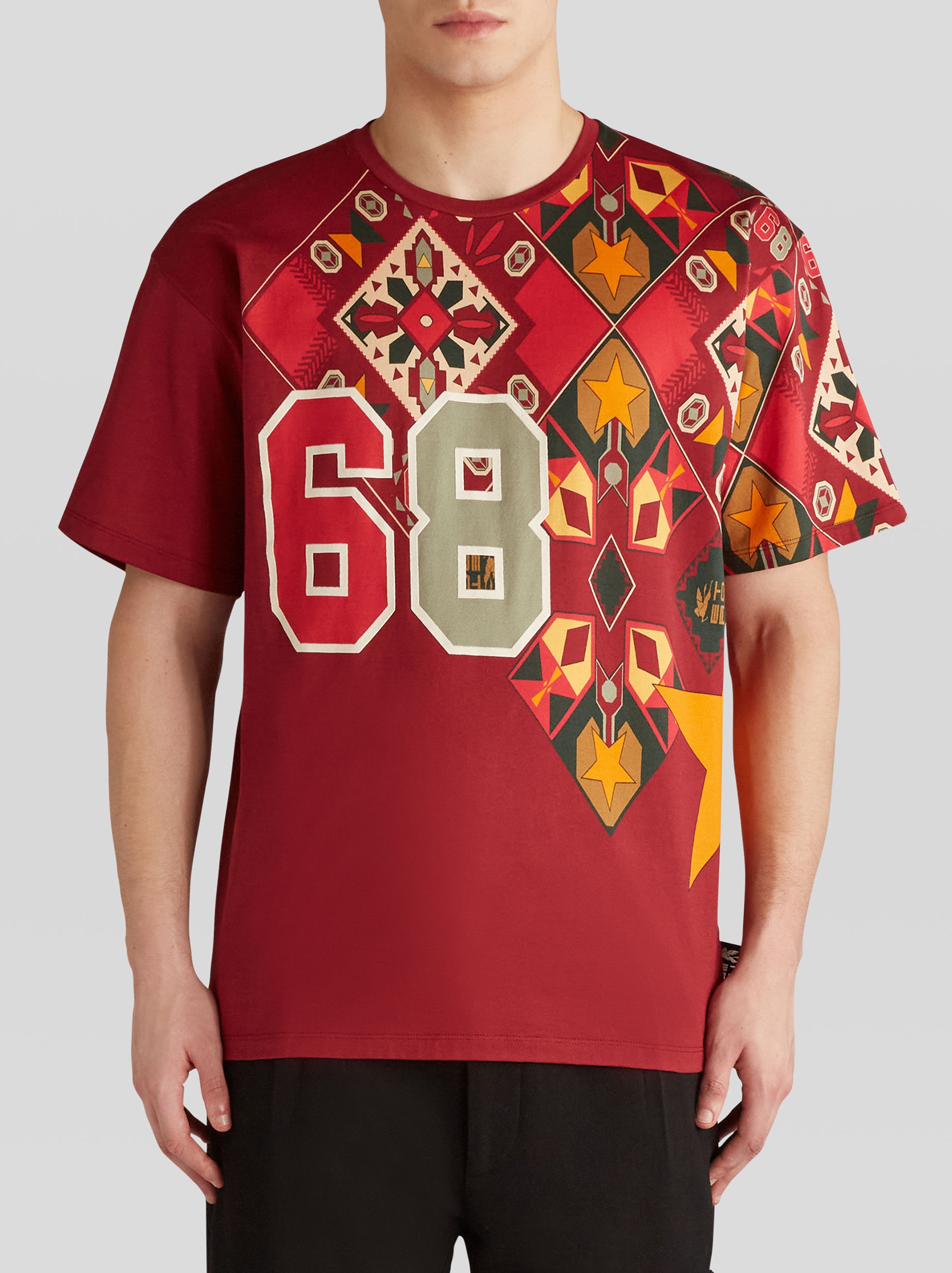 JERSEY T-SHIRT WITH A PLACED PRINT - 2