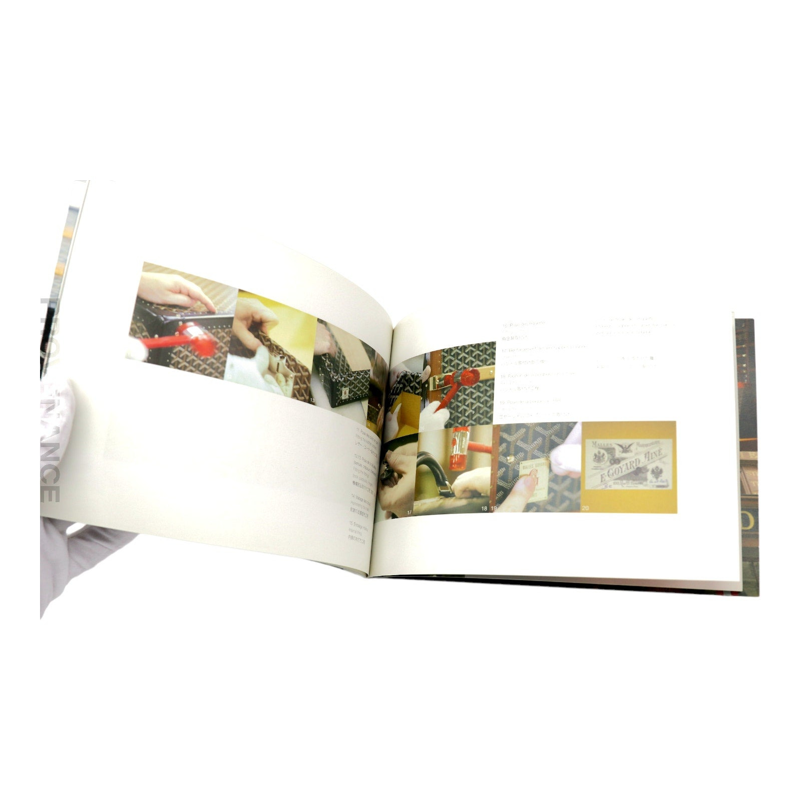 Goyard Book - 9