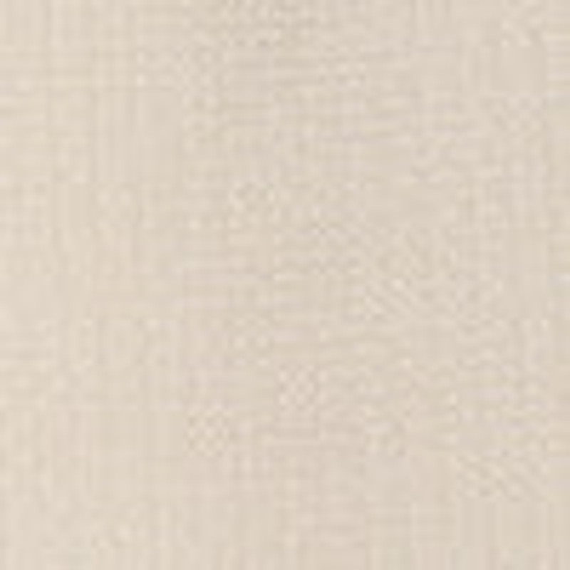 Barn Tote Bag in Mesh 5