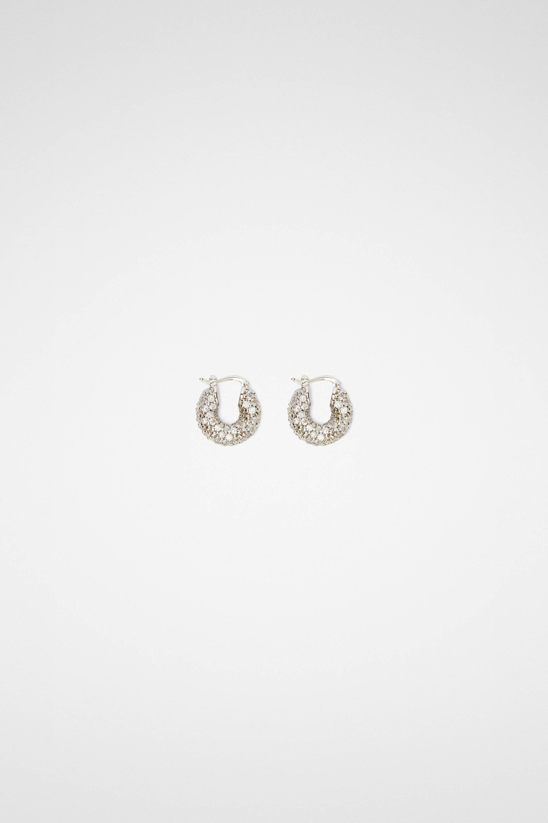 Earrings - 1