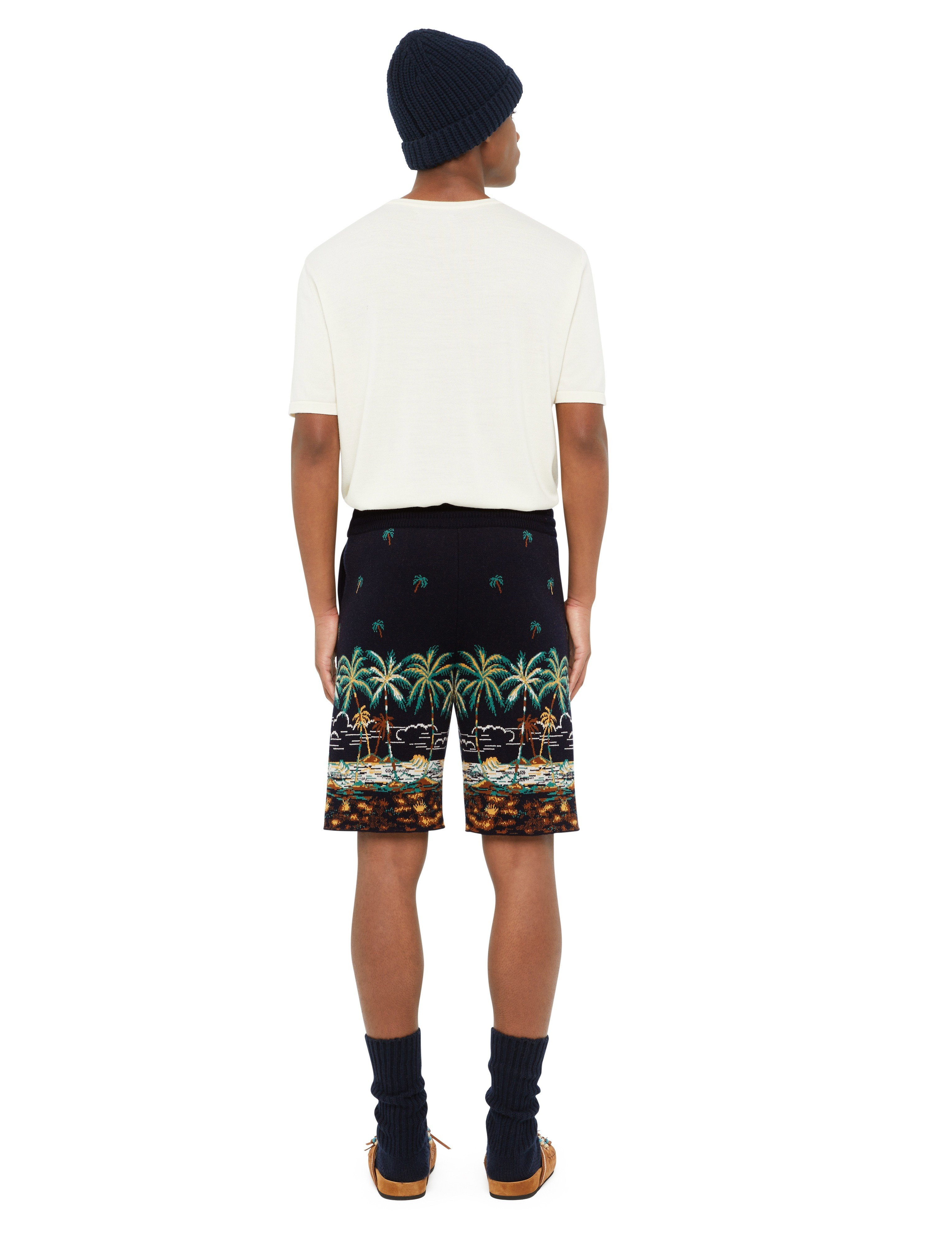 The Tale Of A Hawaiian Shorts - 6