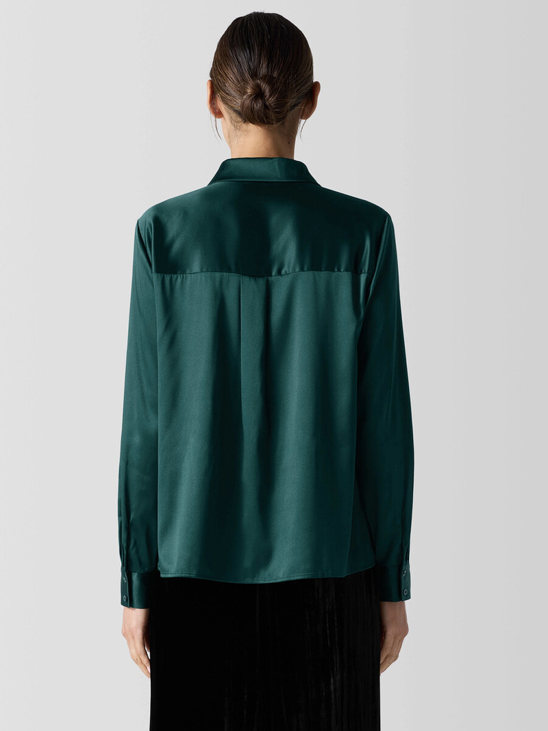 Stretch Silk Charmeuse Classic Collar Shirt 4