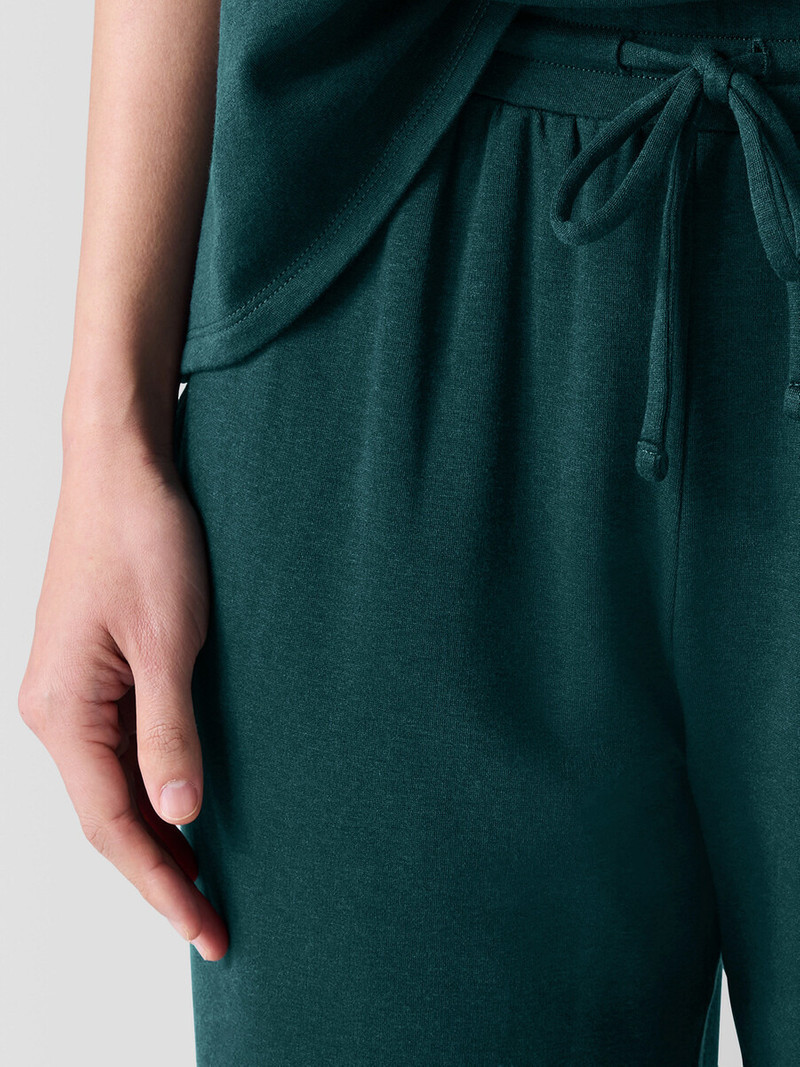 Cozy Brushed Terry Hug Jogger Pant 5