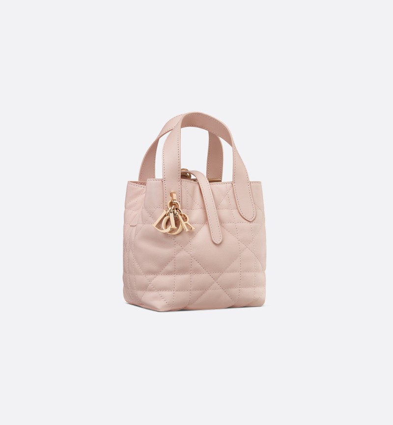 Dior Toujours Vertical Nano Tote Bag 1