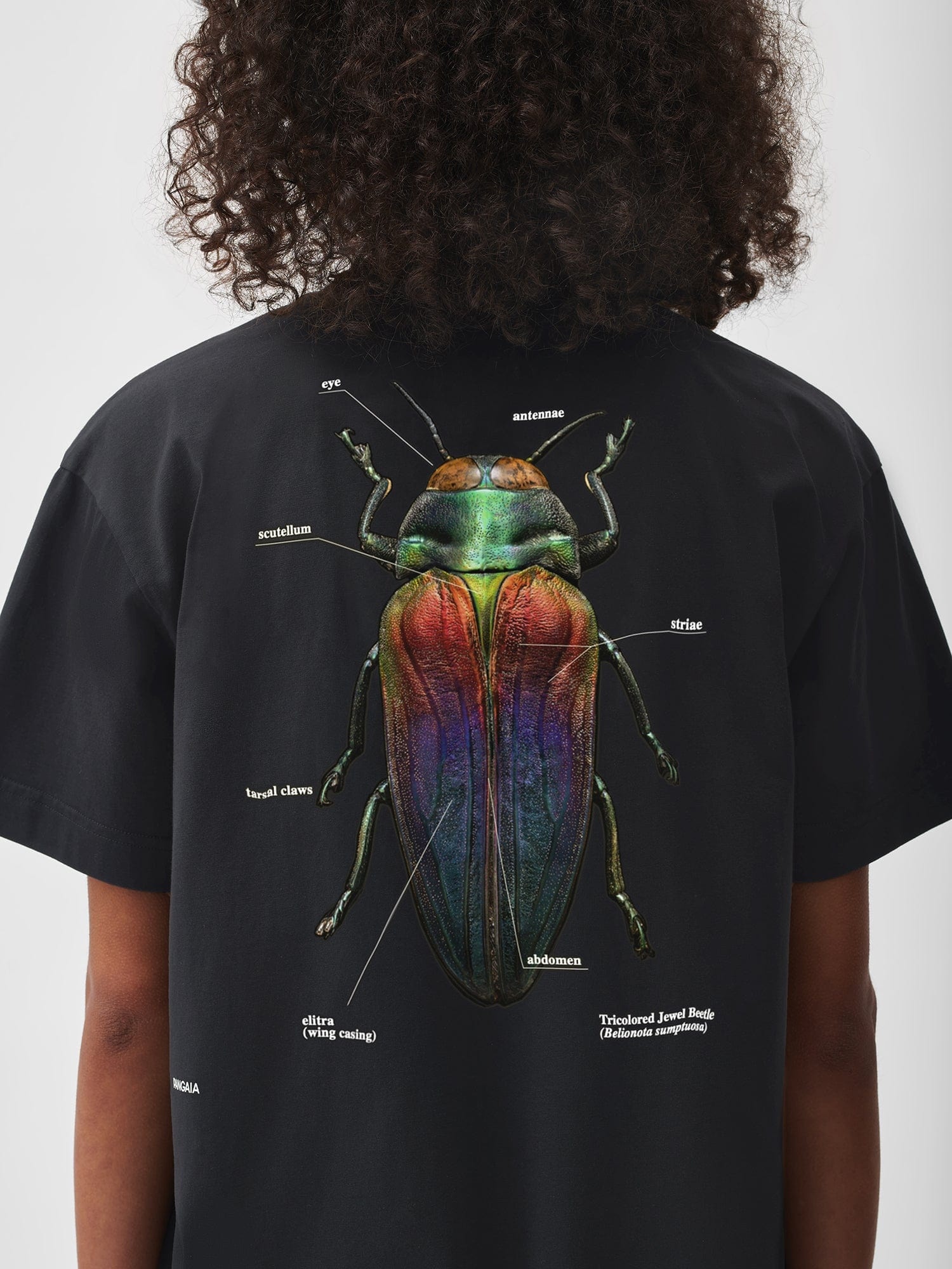 PANGAIA X Levon Biss Tricolored Jewel Beetle T-shirt - Black - 5
