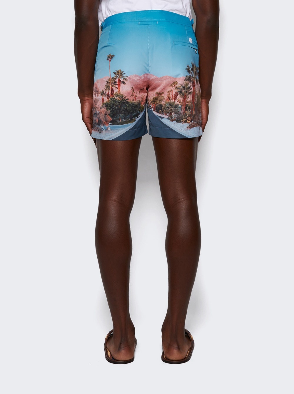 X The Webster Bulldog Swim Shorts Palm Springs - 5
