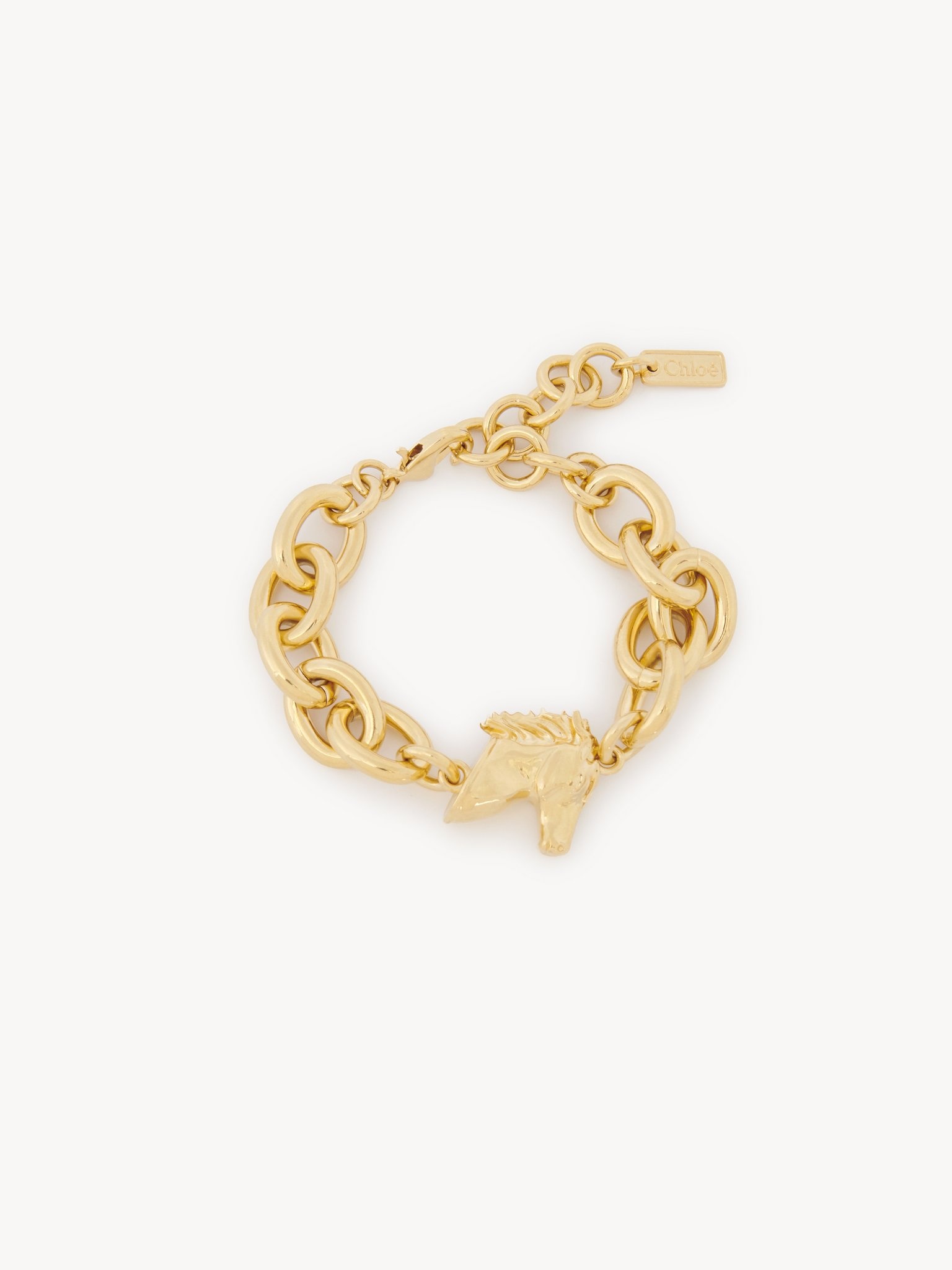 THE CHLOÉ CHARMS BRACELET - 1