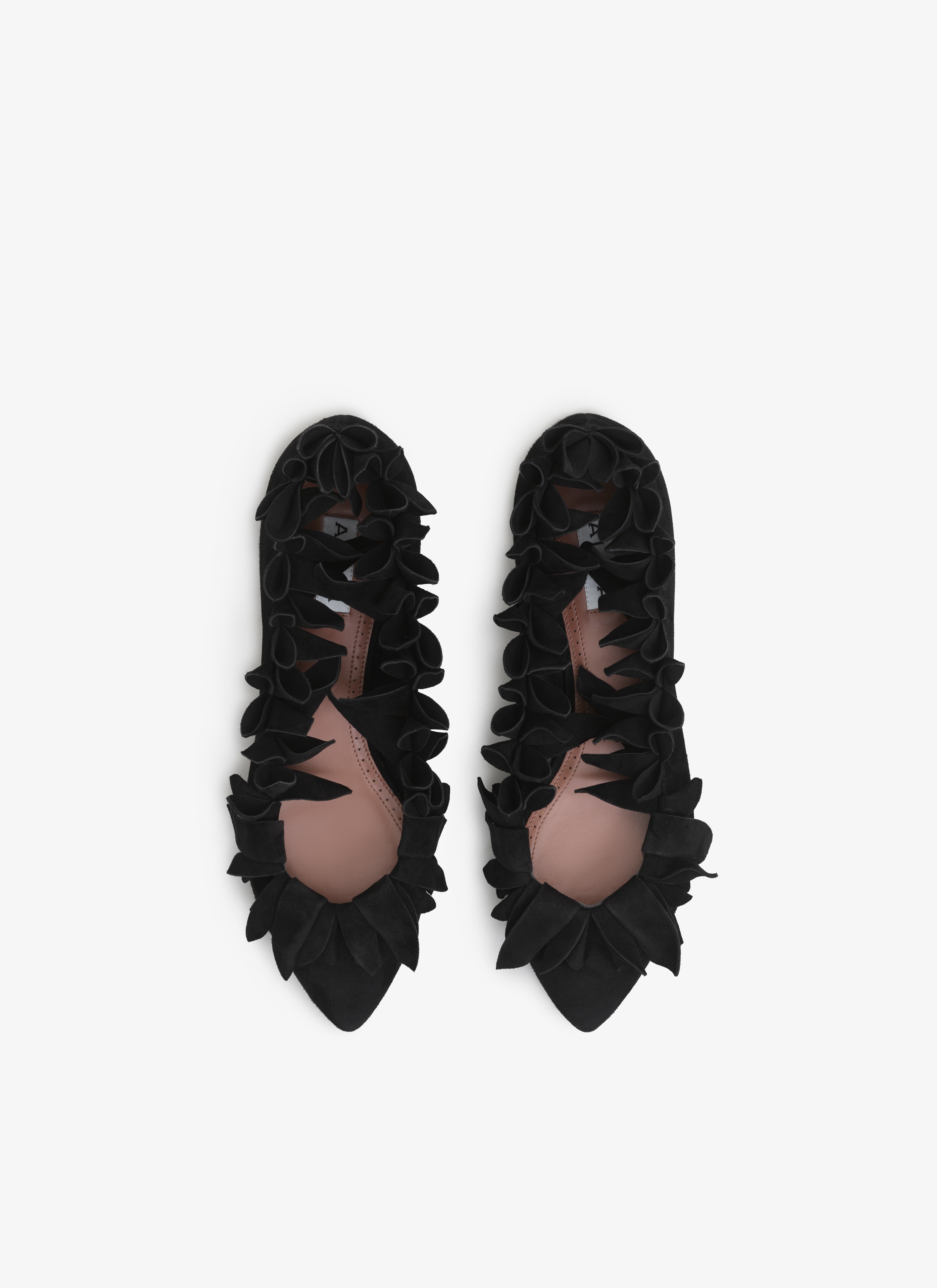 PETAL BALLET FLATS IN SUEDE GOATSKIN - 3