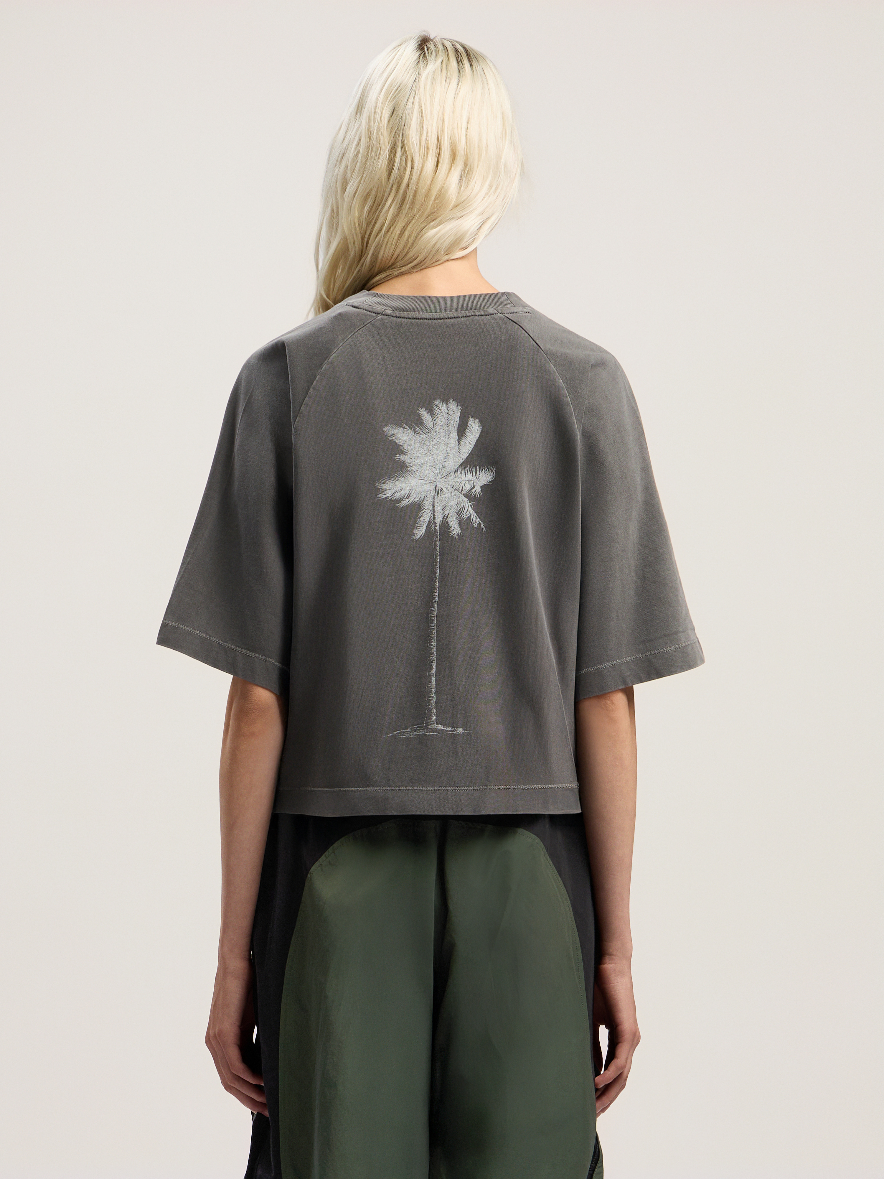 Dollar Cropped Tee - 4