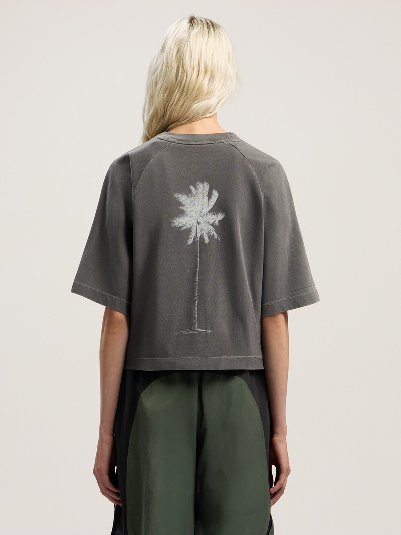 Dollar Cropped Tee 4