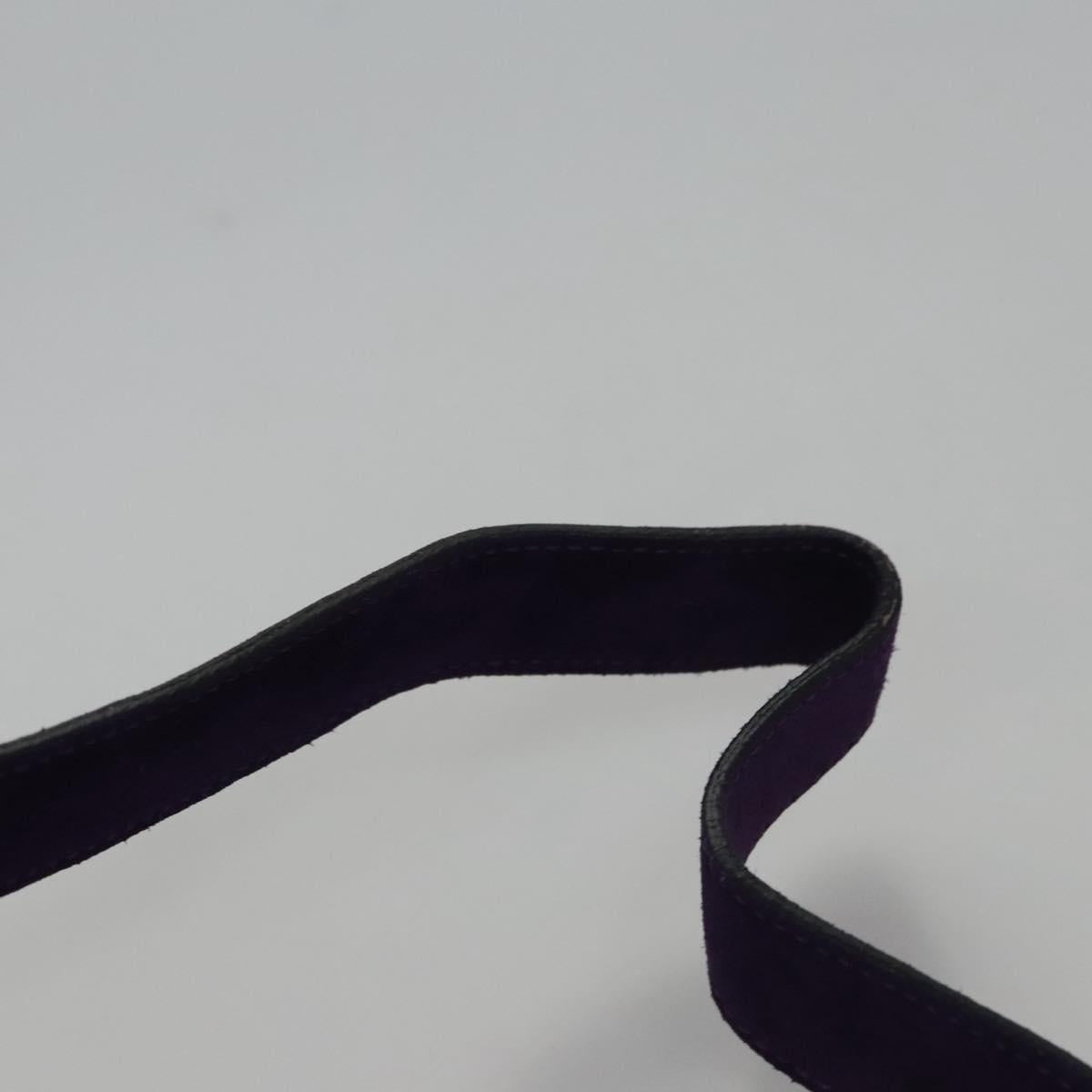 CELINE Circle Shoulder Bag Suede Purple Green Gold - 8