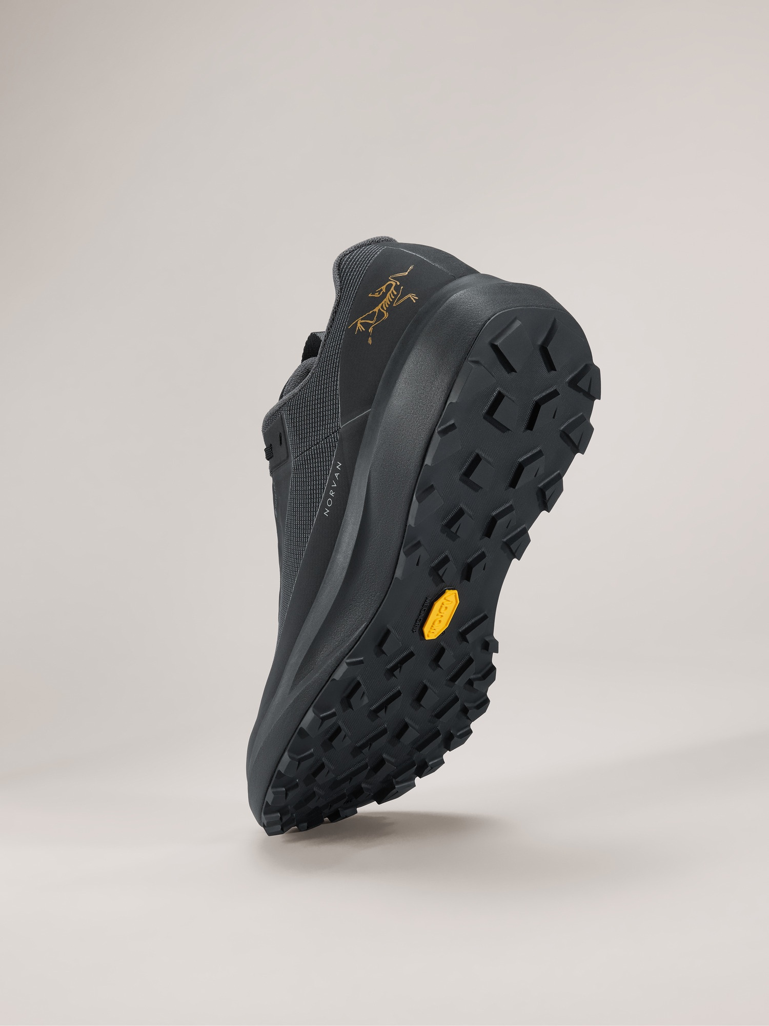 Norvan LD 4 GTX Shoe - 4