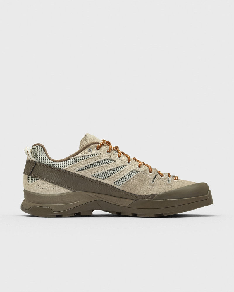 SALOMON X ALP outlook