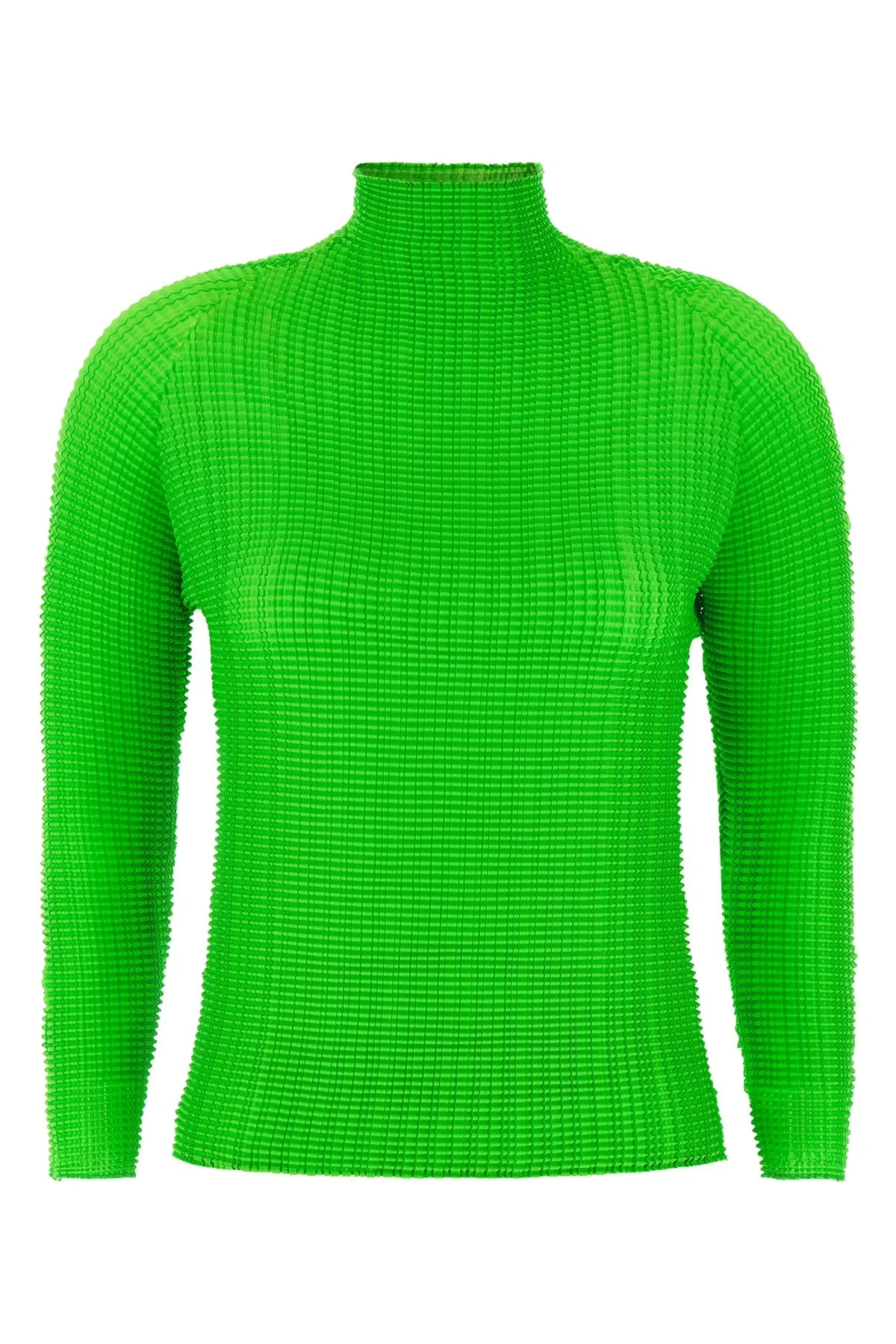 'Wooly Pleats-68' Blouse - 1