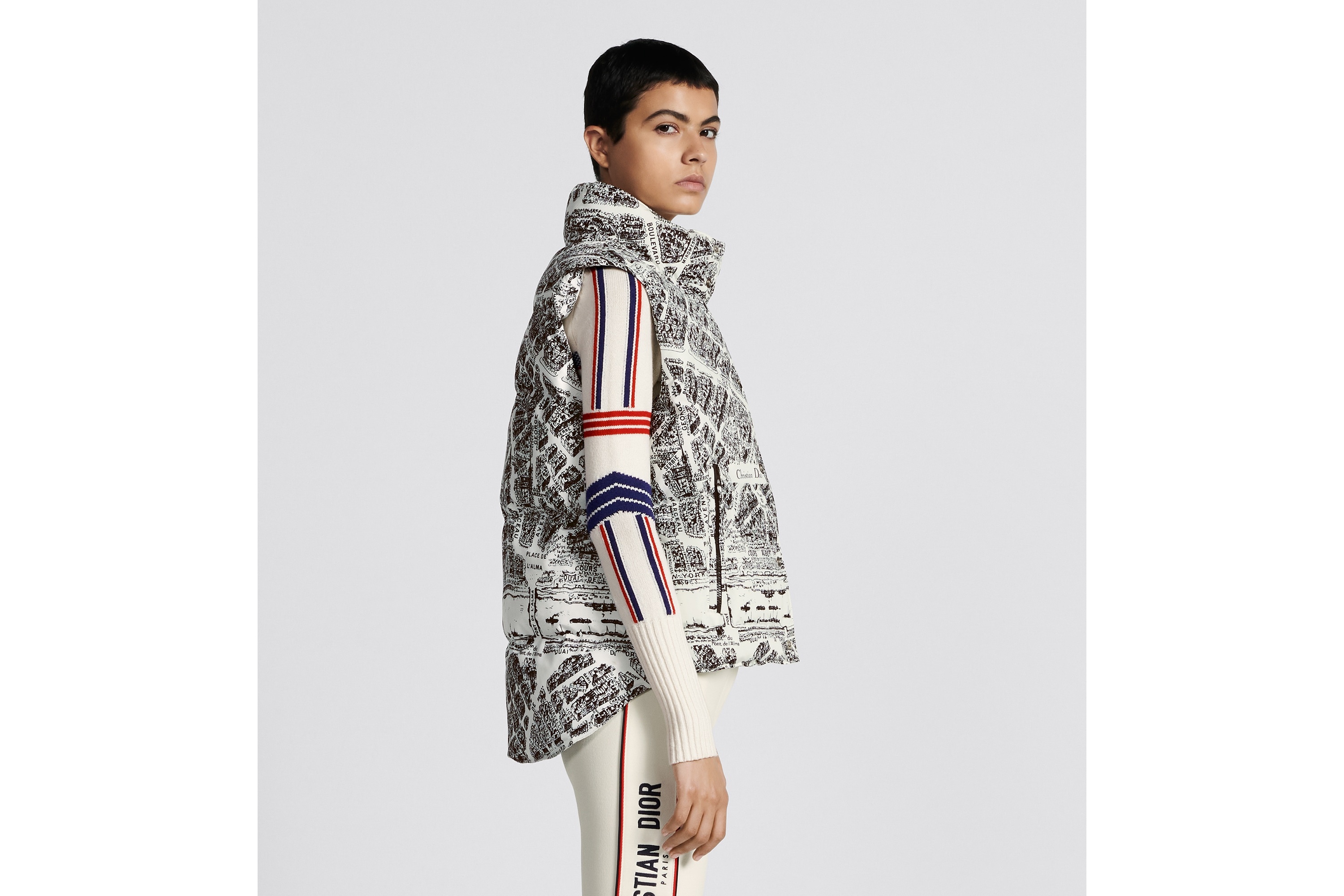 DiorAlps Puffer Vest - 3