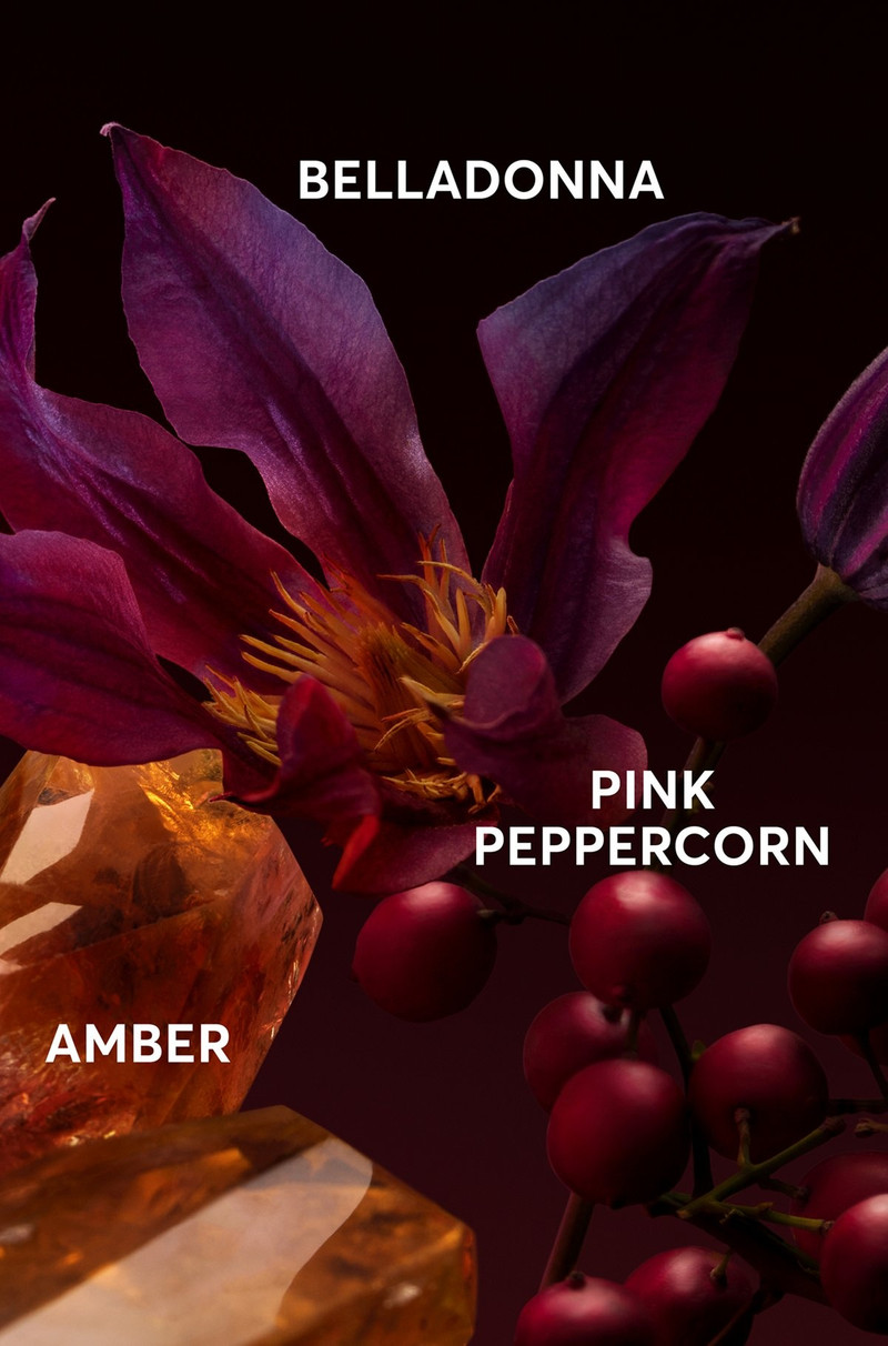 BOSS THE SCENT ELIXIR EAU DE PARFUM 50ML 4