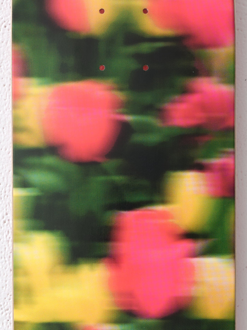 MAAP & Pop Skateboard Decks 8.5 6