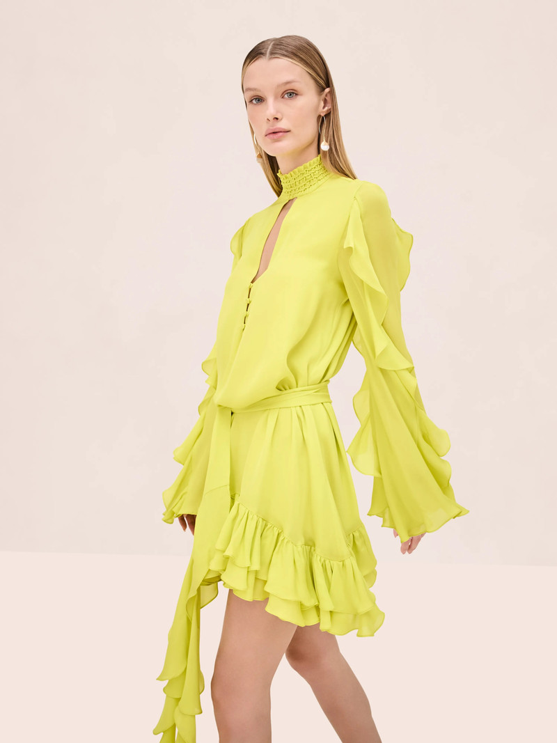 ALEXIS GIOVANNA DRESS outlook