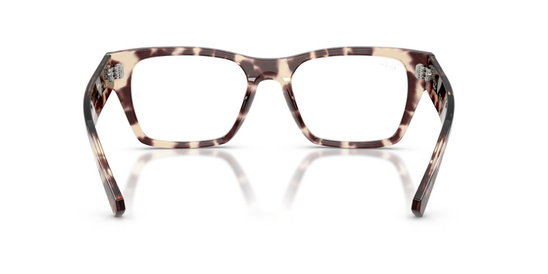 RB5448 OPTICS 7