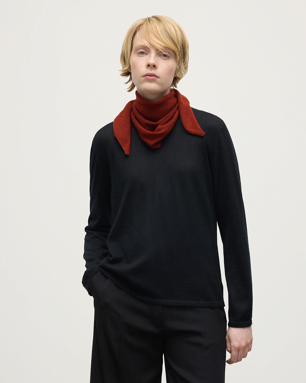 Gauzy Cashmere Red Triangle Neck Tie - 4