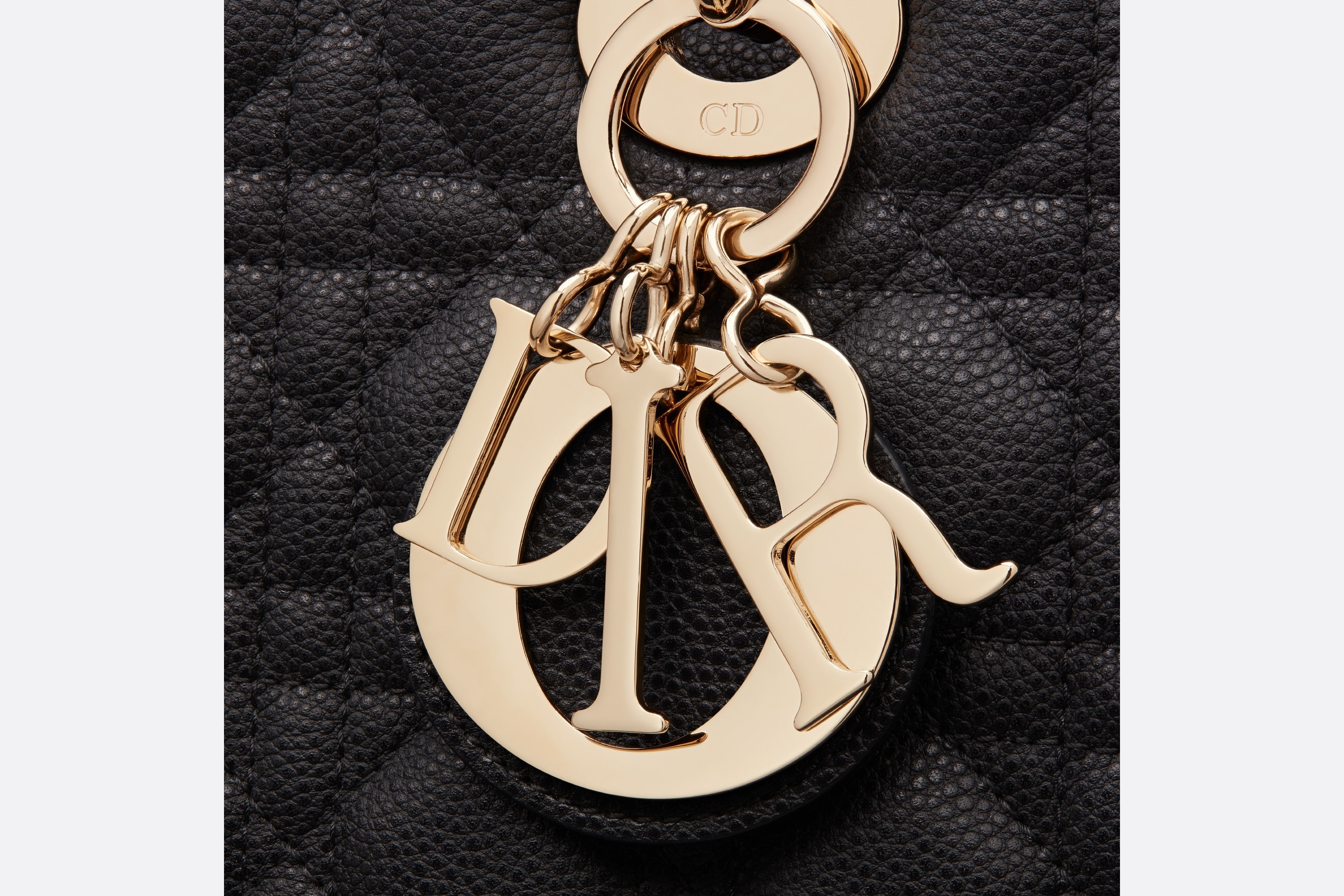 Medium Lady Dior Bag - 6