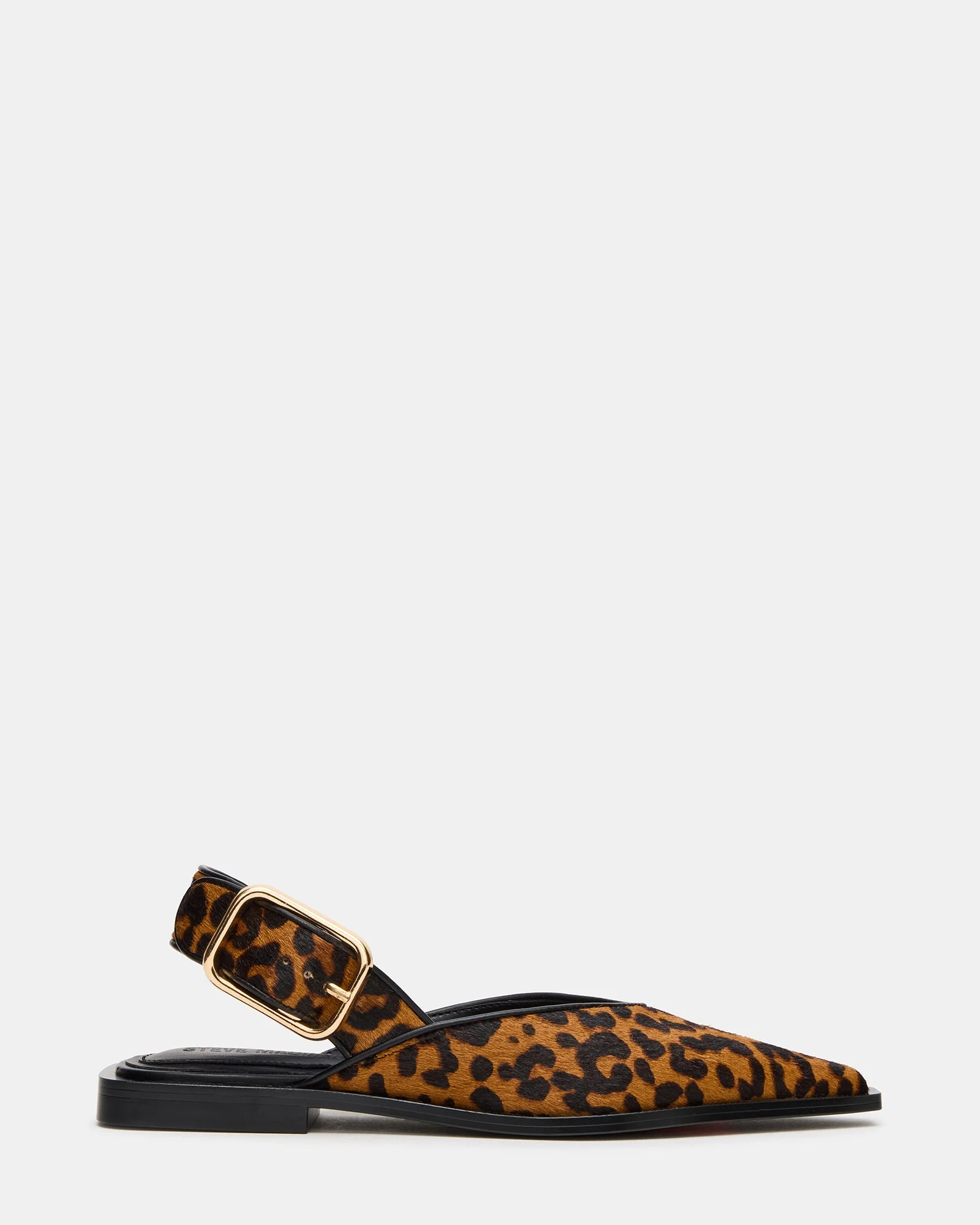 SHAY LEOPARD - 1