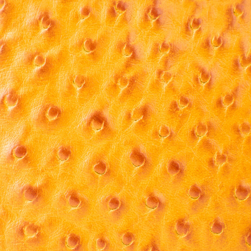 Ochre Clutch in Ostrich-Effect Leather 3