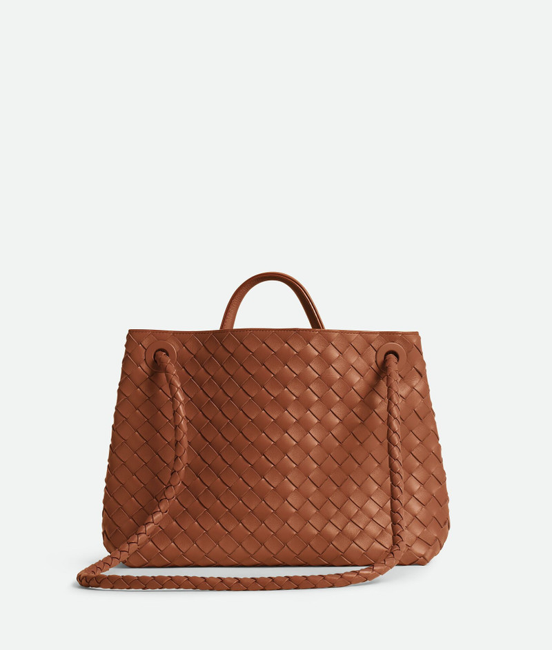 Bottega Veneta Medium Andiamo outlook