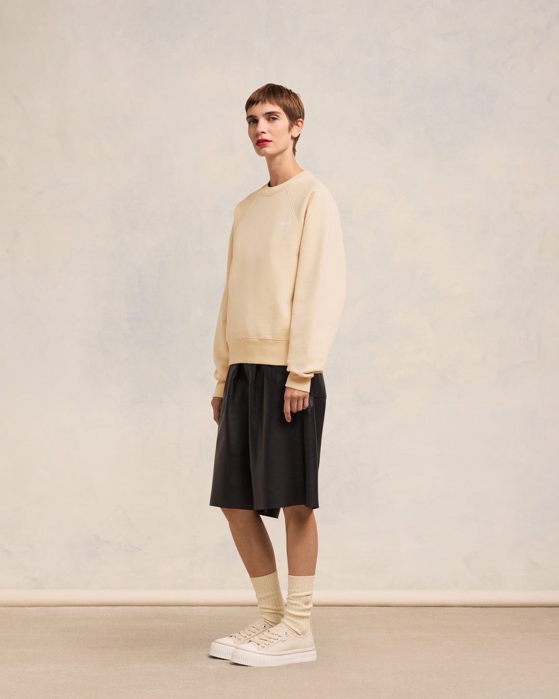 AMI ALEXANDRE MATTIUSSI SWEATSHIRT - 6